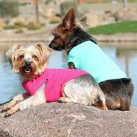 Dog Clothing Fashion Guide - Your Guide to This Season
