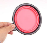 Food Grade Silicone Foldable Dog Bowl Outdoor Portable Hound