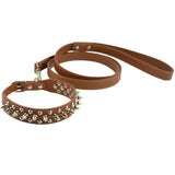 Global  Pu Leather Studded Spikes MushRoom Dog Collar and Pet Matched Lead Leashes
