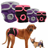 Diaper Pet Underwear For Small