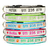 Custom Embroidery Dog Collar Tough Nylon Reflex light at night