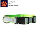 Custom Embroidery Dog Collar Tough Nylon Reflex light at night