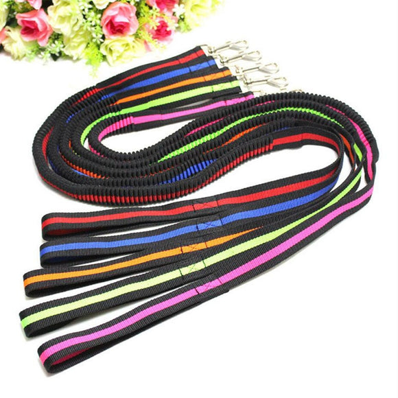 Large Dogs Cats Leash Elastic Pet Cat Puppy Dog Leash Anti Dash