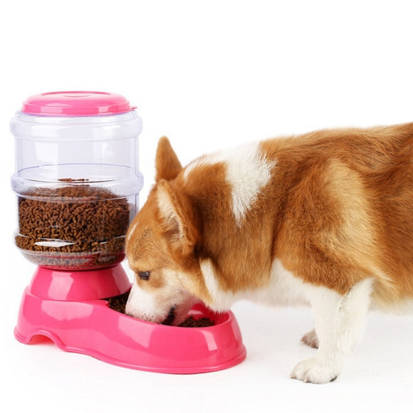 Pet Dog Cat Automatic Feeder Water Dish Food Bow