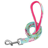Dog Collars for sale - Puppy Collars